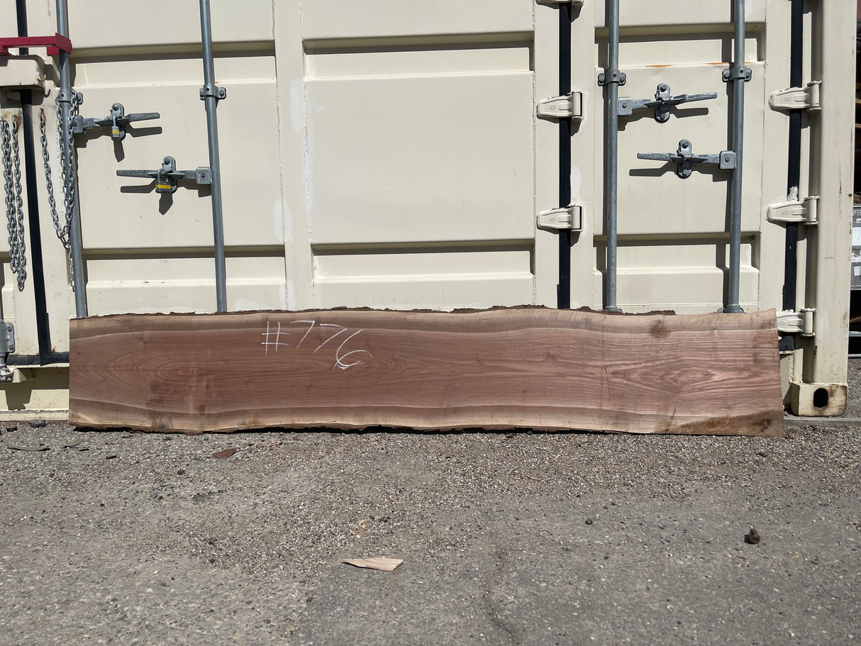 Black Walnut 8/4 Live Edge #776