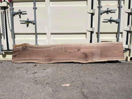 Black Walnut 8/4 Live Edge #779