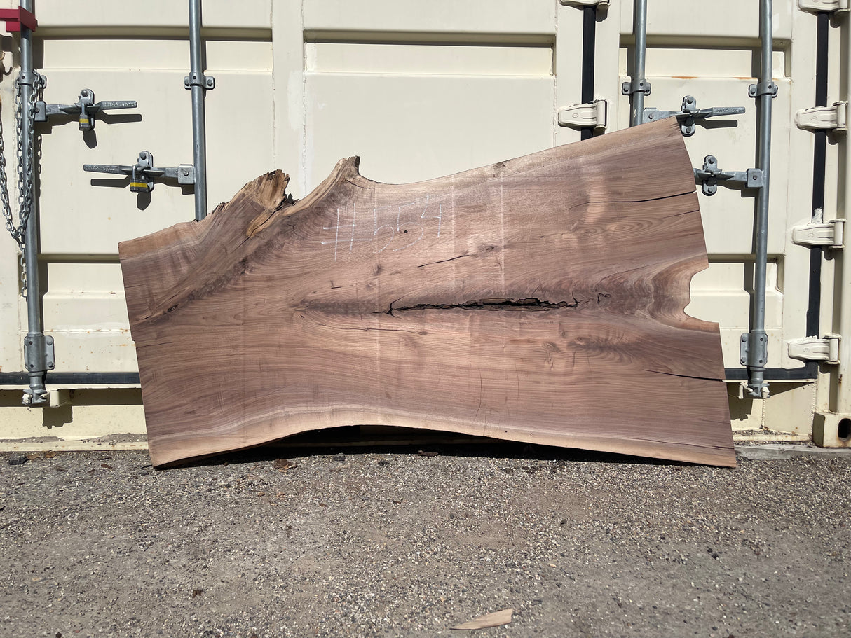 Black Walnut 10/4 Live Edge #554