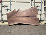 Black Walnut 10/4 Live Edge #554