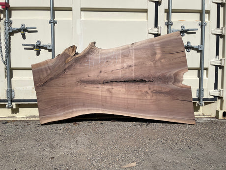 Black Walnut 10/4 Live Edge #554