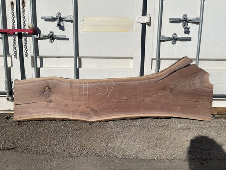 Black Walnut 10/4 Live Edge #557