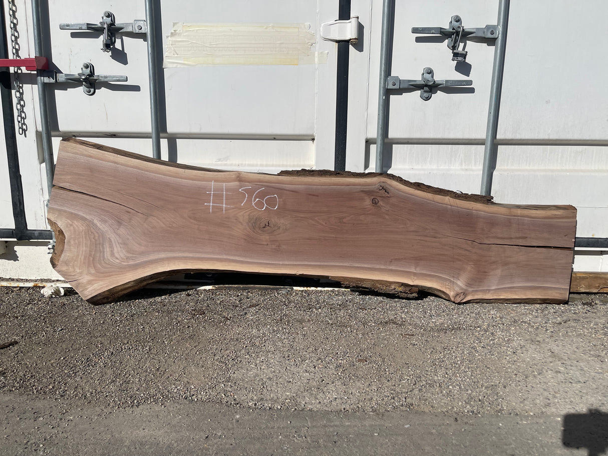 Black Walnut 10/4 Live Edge #560