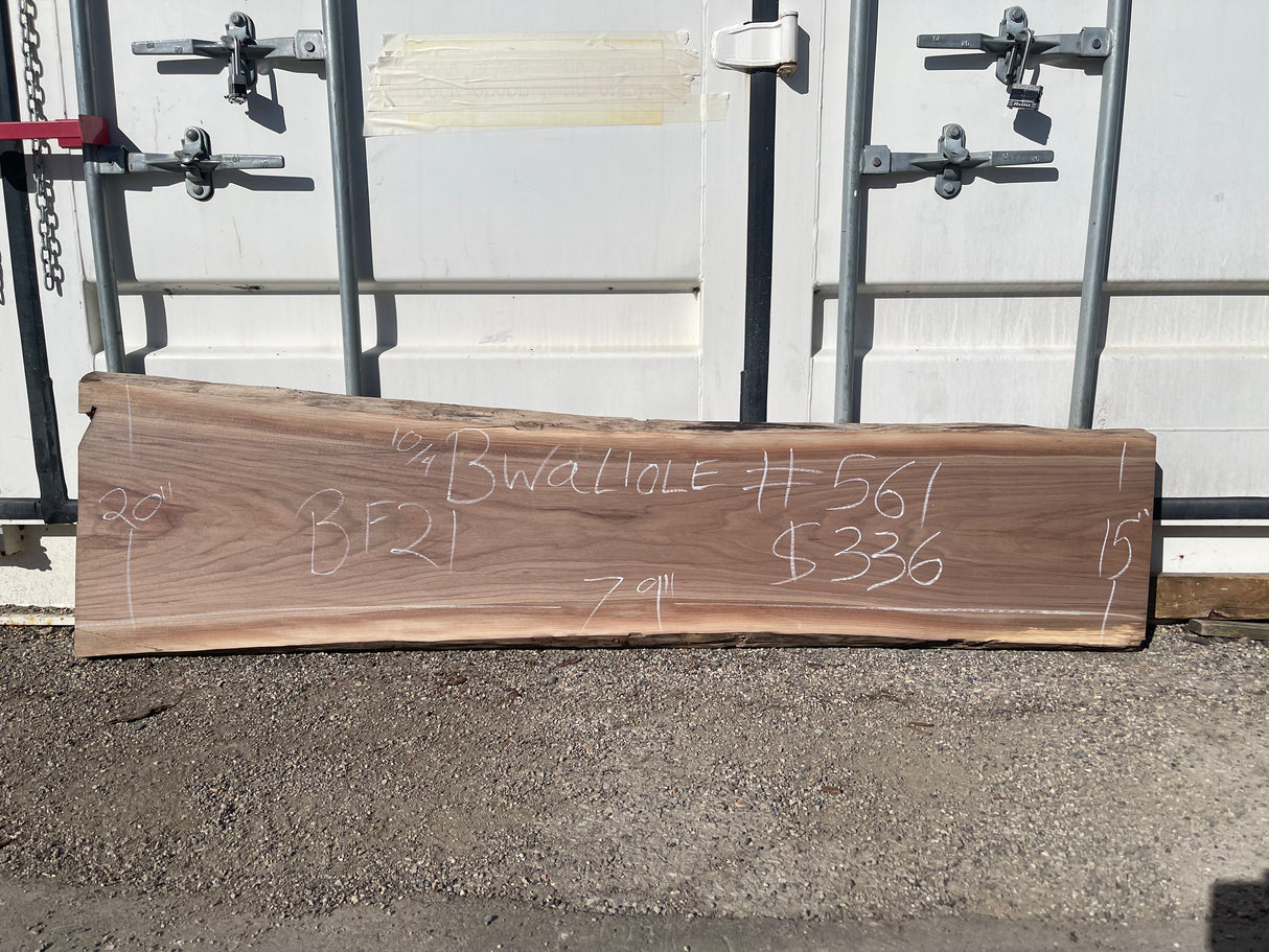 Black Walnut 10/4 Live Edge #561