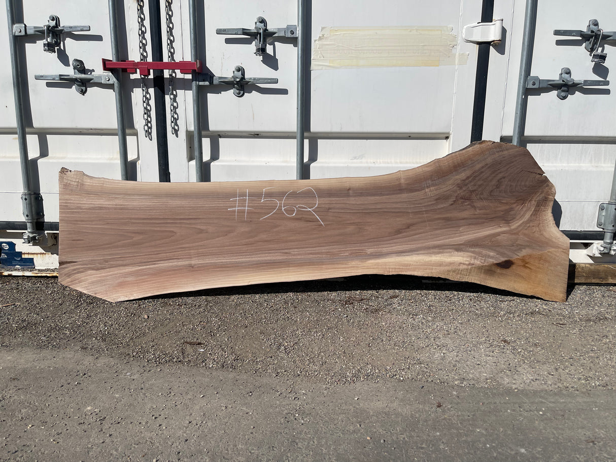 Black Walnut 10/4 Live Edge #562
