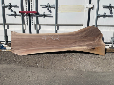Black Walnut 10/4 Live Edge #562