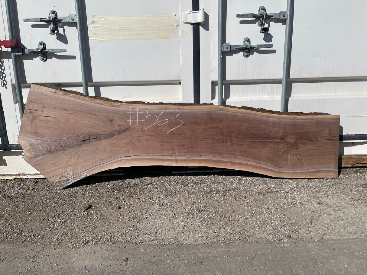 Black Walnut 10/4 Live Edge #563