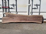Black Walnut 10/4 Live Edge #564