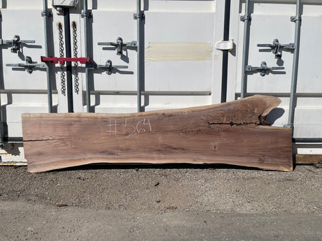 Black Walnut 10/4 Live Edge #564