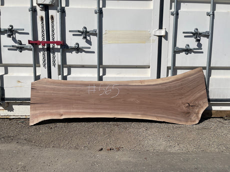 Black Walnut 10/4 Live Edge #565