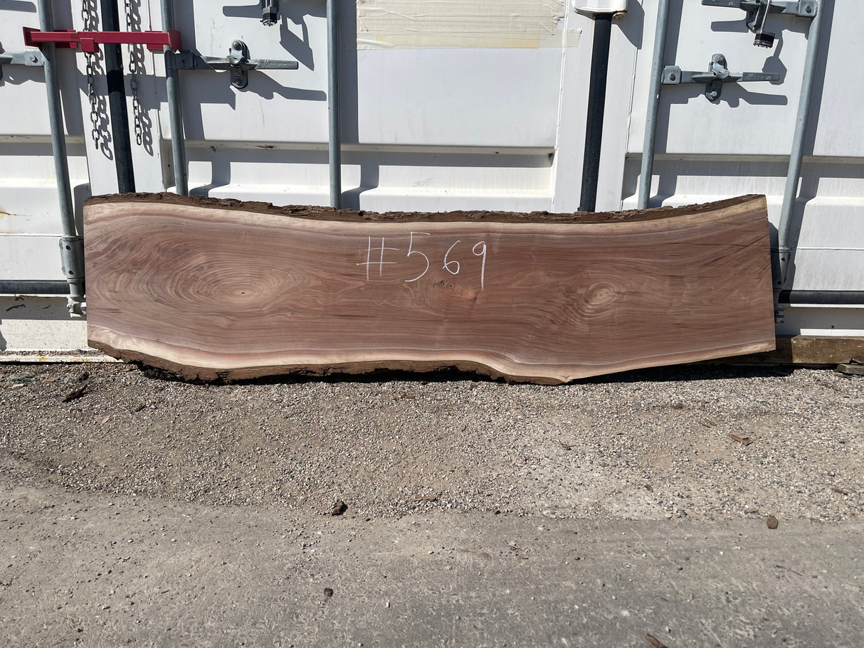 Black Walnut 10/4 Live Edge #569
