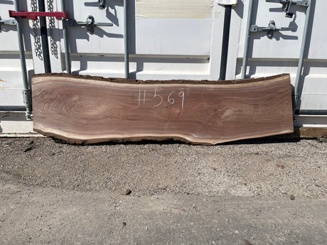 Black Walnut 10/4 Live Edge #569