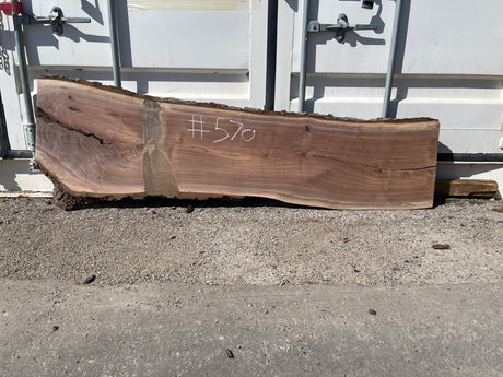 Black Walnut 10/4 Live Edge #570