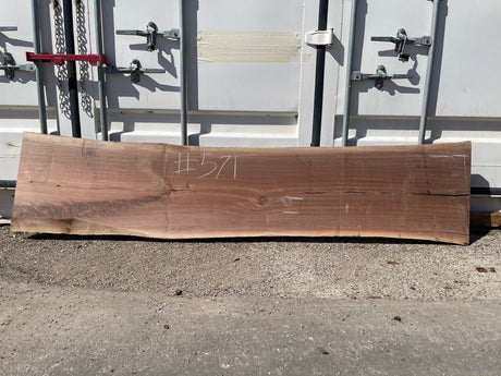 Black Walnut 10/4 Live Edge #571