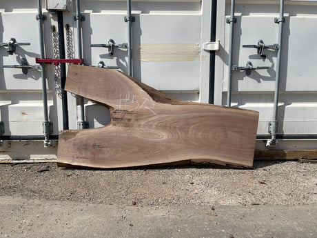 Black Walnut 10/4 Live Edge #572