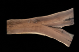 Black Walnut 8/4 Live Edge #795