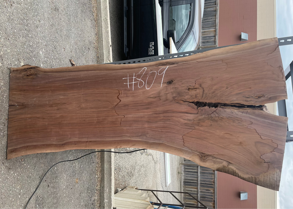 Black Walnut 8/4 Live Edge #809