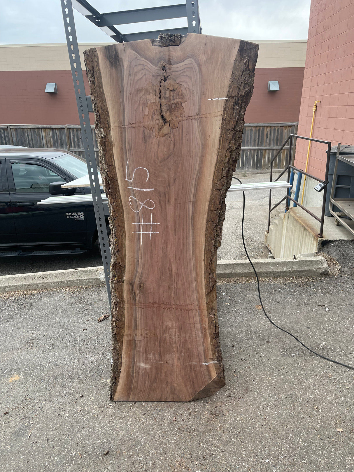 Black Walnut 8/4 Live Edge #815