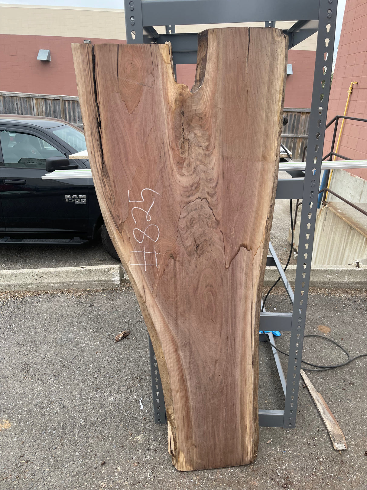 Black Walnut 8/4 Live Edge #825