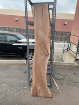 Black Walnut 8/4 Live Edge #832