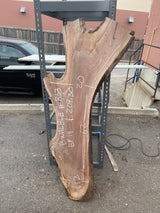 Black Walnut 8/4 Live Edge #833
