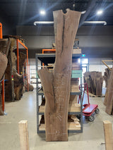 Black Walnut 10/4 Live Edge #577