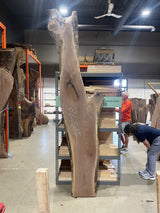 Black Walnut 10/4 Live Edge #578