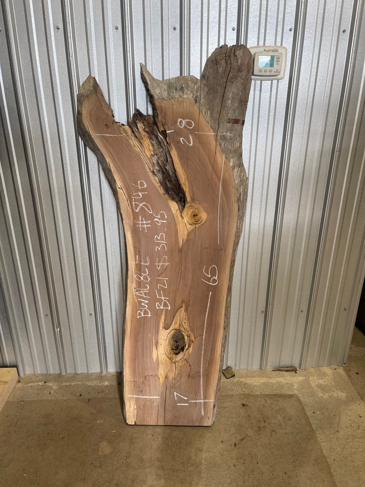 Black Walnut 8/4 Live Edge #846
