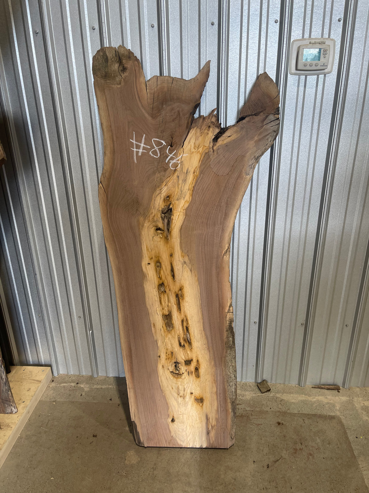 Black Walnut 8/4 Live Edge #846
