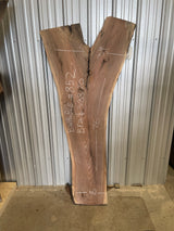 Black Walnut 8/4 Live Edge #852
