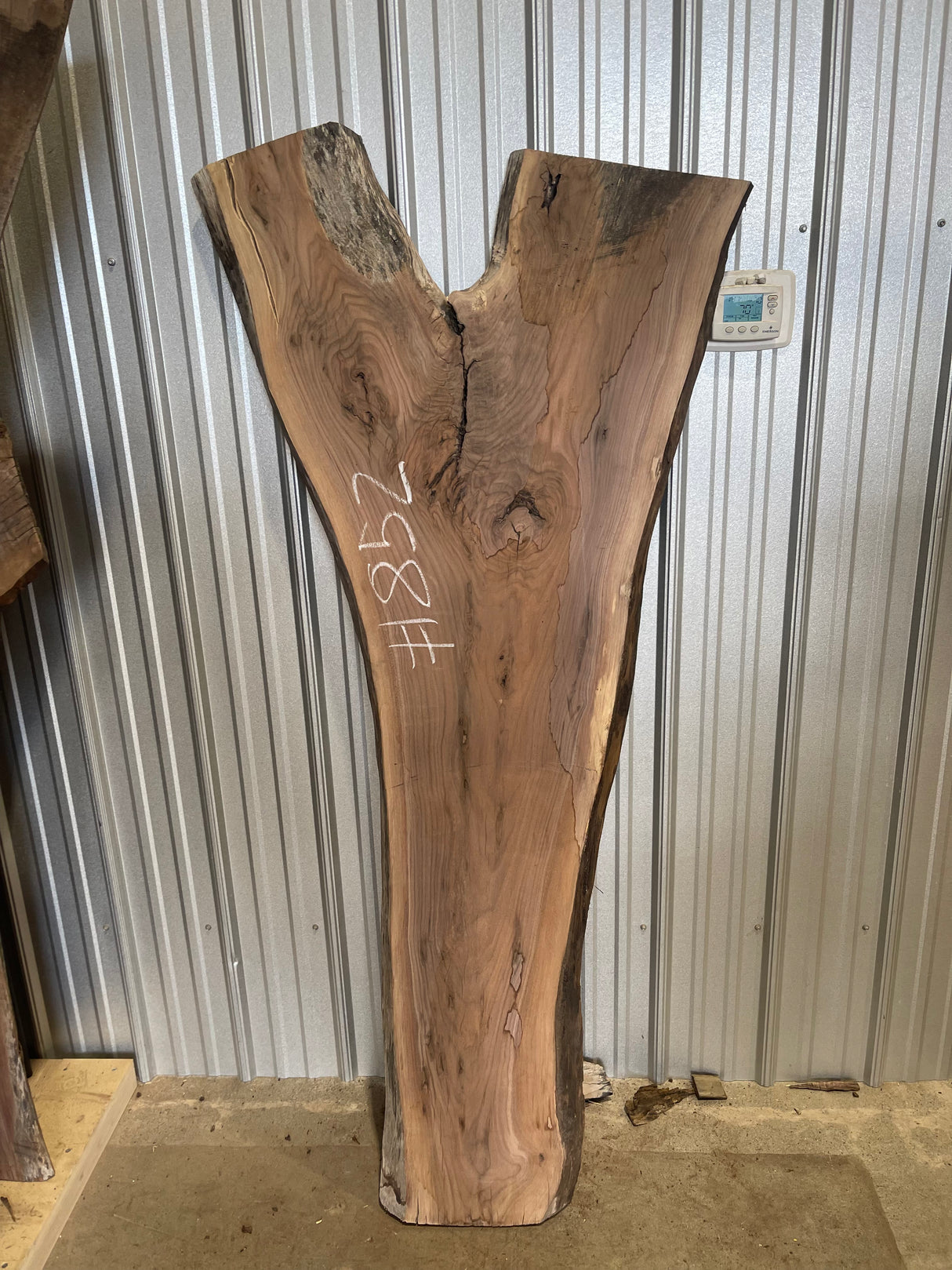 Black Walnut 8/4 Live Edge #852