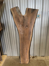 Black Walnut 8/4 Live Edge #852