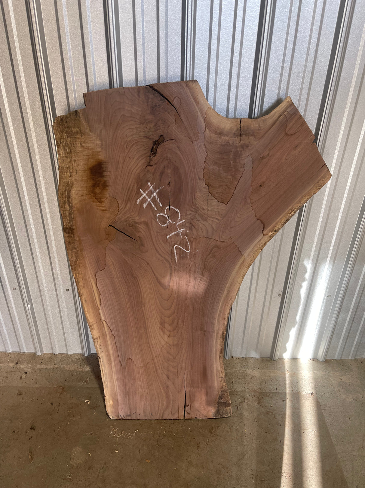 Black Walnut 8/4 Live Edge #842