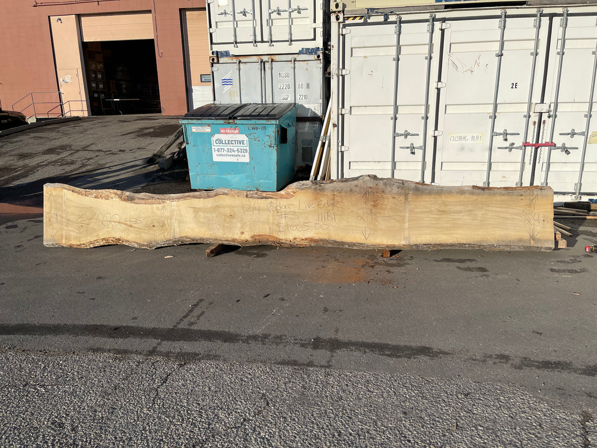 Poplar 12/4 Live Edge #003