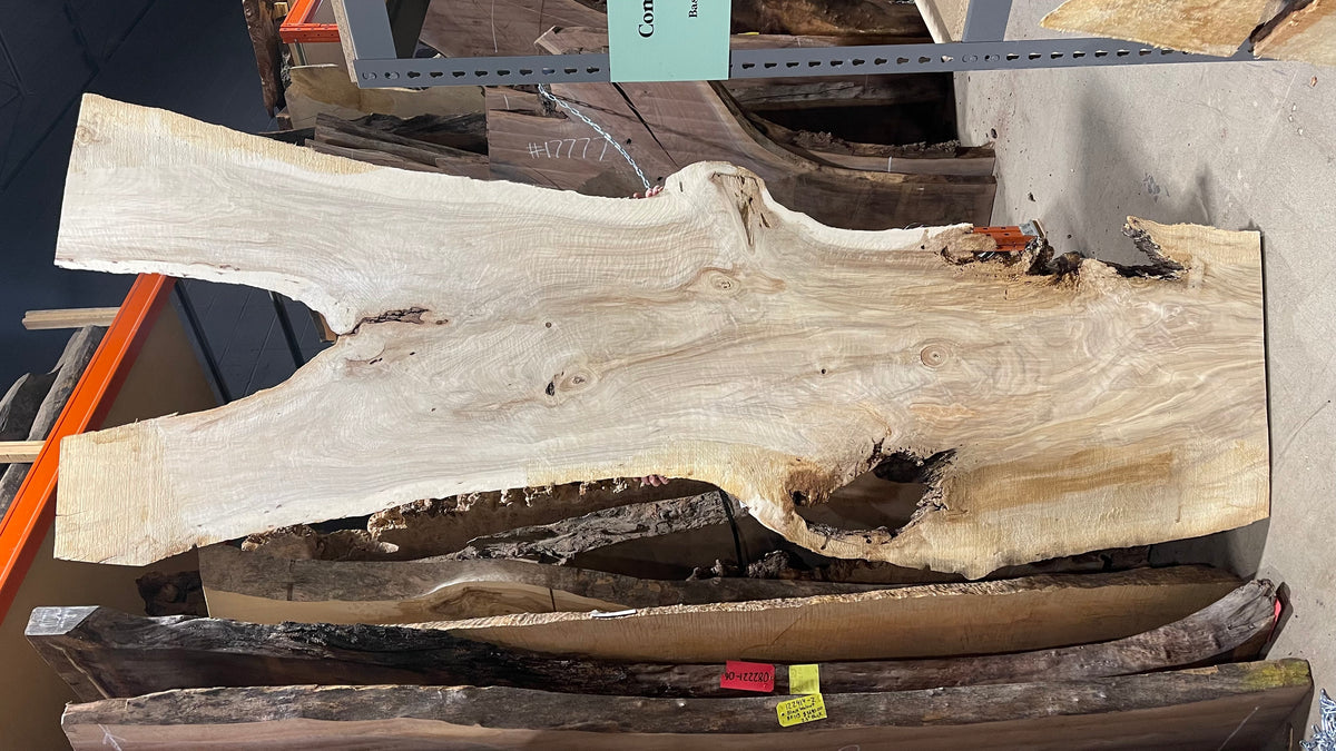 Poplar 12/4 Live Edge #008