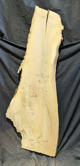 Ash Live Edge #070