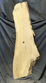 Ash Live Edge #070