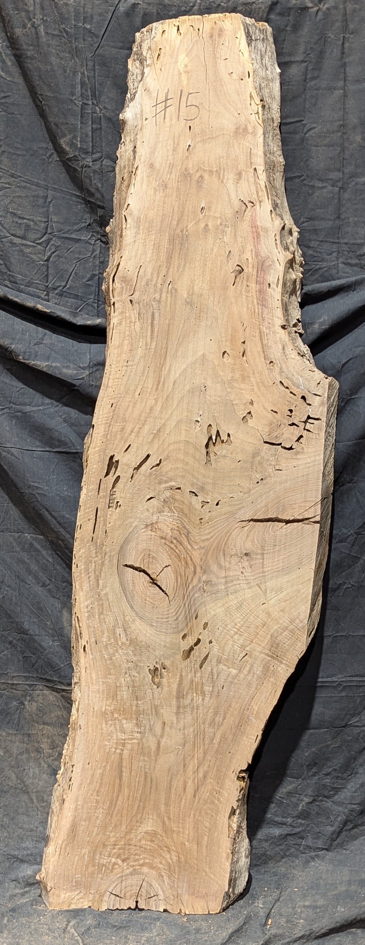 Bastogne Walnut 10/4 Live Edge #015