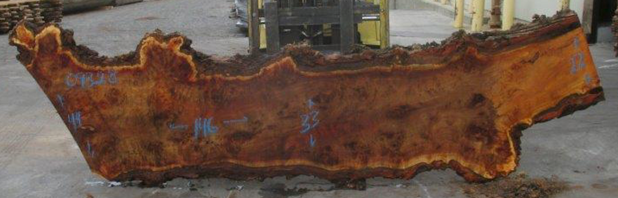 Cottonwood Live Edge #09328