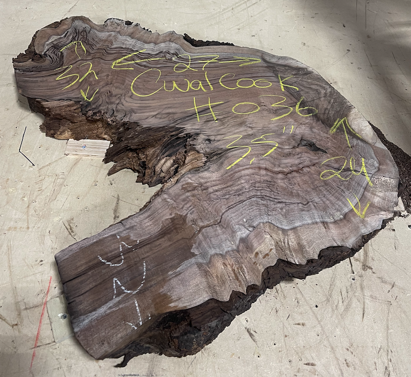 Claro Walnut Burl Cookie #036