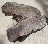 Claro Walnut Burl Cookie #036