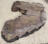 Claro Walnut Burl Cookie #034