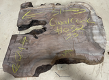 Claro Walnut Burl Cookie #032