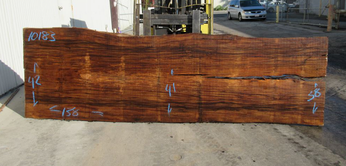 Ebony Brown Live Edge #10183