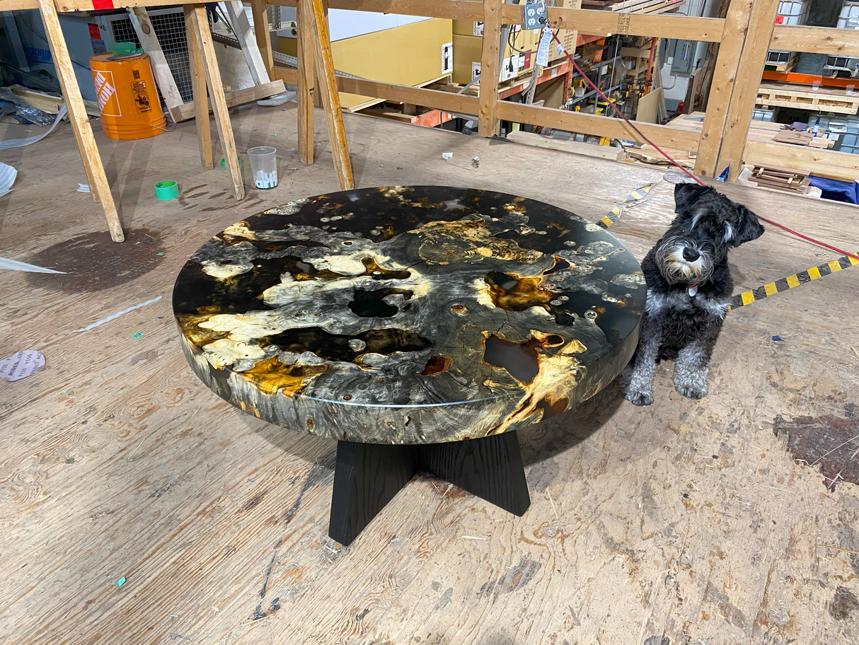 Buckeye Burl Coffee Table