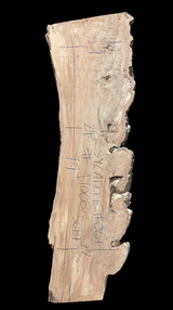Sycamore 12/4 Live Edge #001