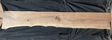 Bastogne Walnut 10/4 Live Edge #002