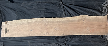 Bastogne Walnut 10/4 Live Edge #003