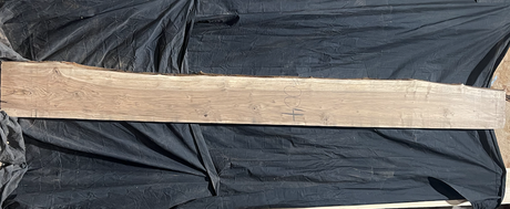 Bastogne Walnut 10/4 Live Edge #004