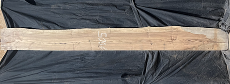 Bastogne Walnut 10/4 Live Edge #005